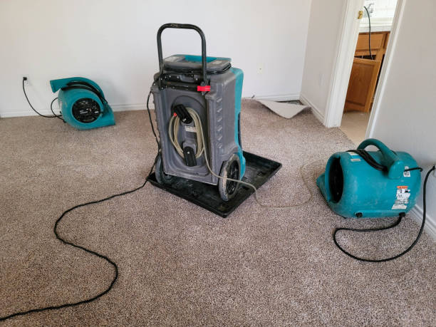 Best Sewage cleanup and water damage restoration  in Tornado, WV