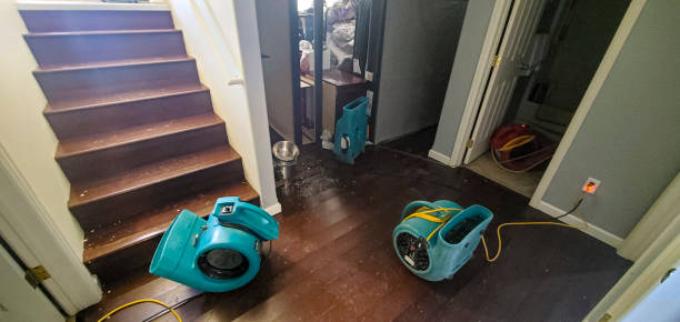 Best Ceiling water damage repair  in Tornado, WV