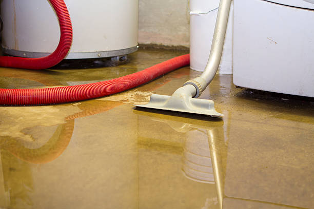 Best Water damage restoration mold remediation  in Tornado, WV