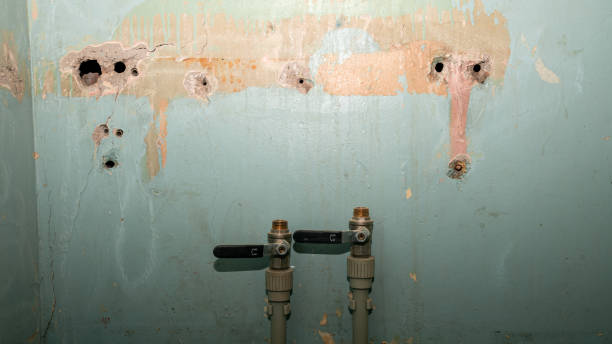 Best Basement water damage restoration  in Tornado, WV